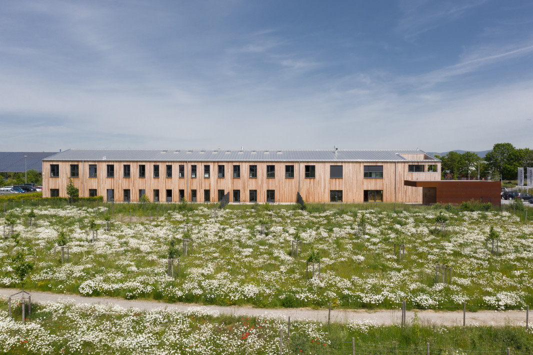 Dictum, Leistung: Holzfassade