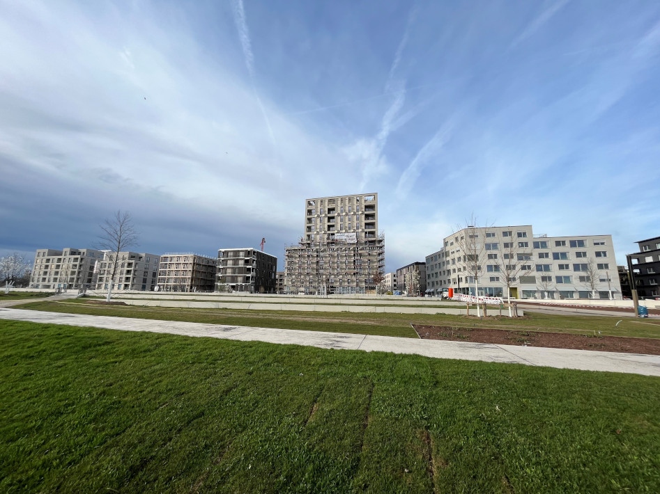 Spinelli Hochpunkt, Leistung: Lieferung Außenwände in Holztafelbauweise