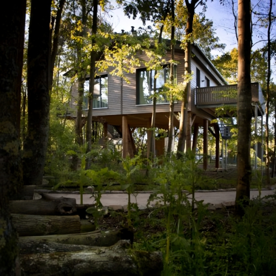 Baumchalets, Leistung: GU-Leistung